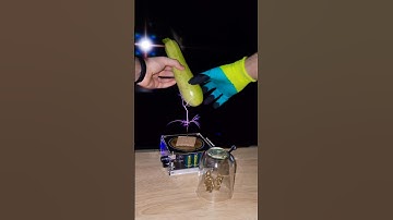 🥬 Music Tesla Coil #experiment #physics #zucchini #science