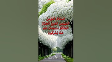 قرآن كريم - أواخر سورة الحشر  #quran #coran