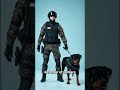 The 10 Best Military Dog Breeds
