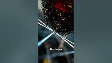 How Spiders Shoot Out Silk 😲