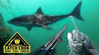 Monster Great White Shark steals my dinner! [Catch Cook]
