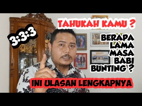 Video: Berapa panjang janin babi Anda?