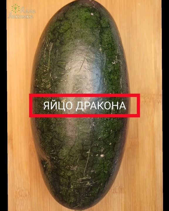 Арбуз ЯЙЦО ДРАКОНА / Отзыв #shorts - YouTube