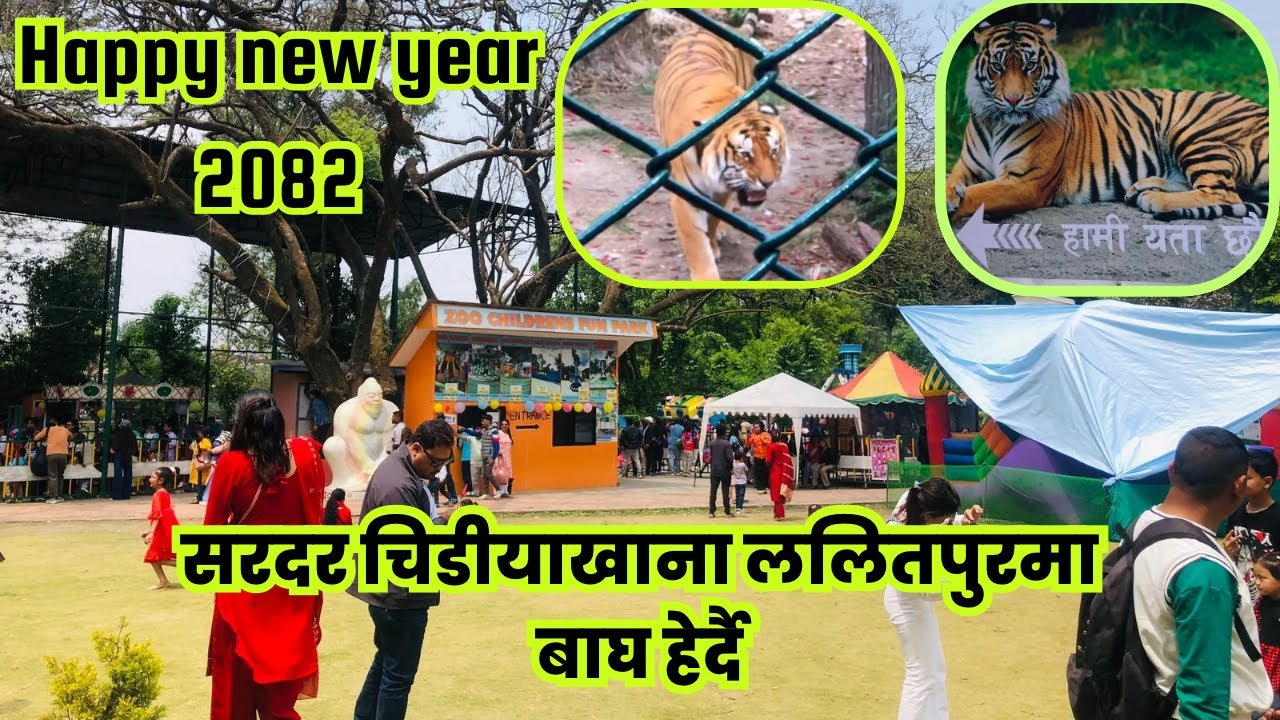 Central zoo bata new video||tiger live pahilo choti herdai||new year 2082
