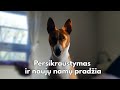 Vlog: atgal į 2020: persikraustymas ir nauji namai