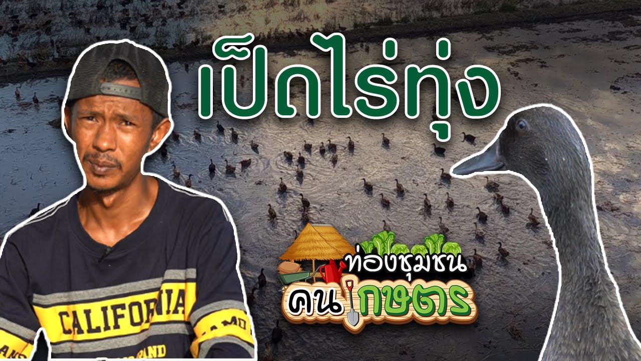เป็ดไร่ทุ่ง | ท่องชุมชนคนเกษตร EP3