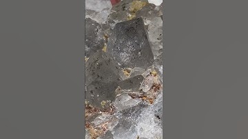 Geology 101 day 14 the principle of inclusions #geology #geologystudy #didyouknow #learn ￼