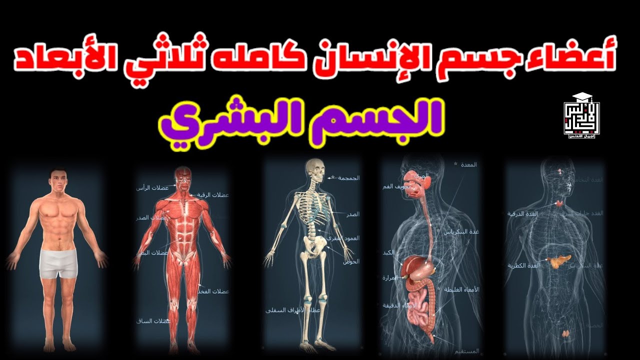 اهتزاز الجسم من الداخل