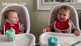 The FUNNIEST and CUTEST Baby Soft video you'll see today!   TWIN BABIES Adorable Moments😘 #2 screenshot 3