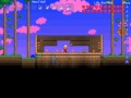 Presantation terraria