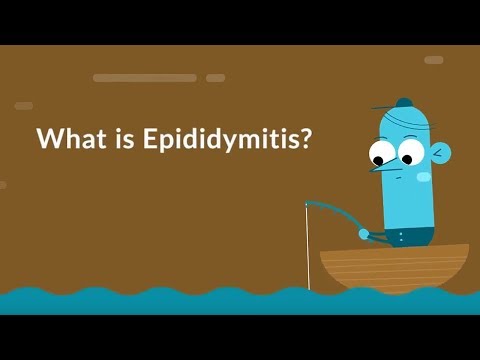 What is Epididymitis? (Sperm Tube Inflammation)