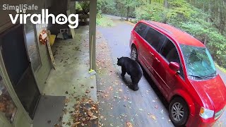 Bear Tries To Open Car Door Viralhog
