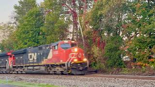 10/3/26 CN Train 302