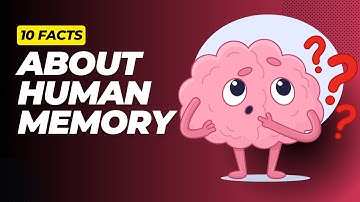 10 Mind Blowing Facts about Human Memory