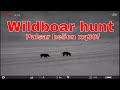 Part 10. Wildboar hunting, 40kg boar