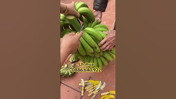 Dao pha nải chuối nhỏ nhưng siêu sắc bên