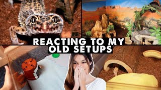 Reacting To Old Leopard Gecko Setups  (over 10 years worth!!)