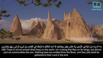 سورة الأنعام - ياسر الدوسري - مترجم | Surah Al An'aam - Yasser Aldosari - English subtitles