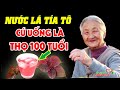 Lấy Tía Tô Nấu Nước Uống Theo Cách Này Là Bạn Đã Tạo Ra Thần Dược Tốt Hơn 100 Triệu Thuốc Bổ