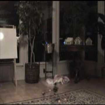 Honeybee CP2 - Learning to Fly 2