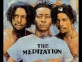 The Meditations - Book Of History & Leigh Dread's Dub Version