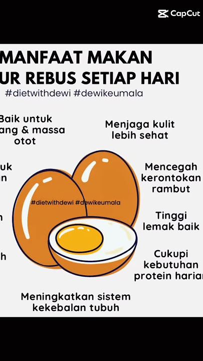 Manfaat konsumsi Telur setiap hari baik itu di goreng / rebus atau di makan mentah...