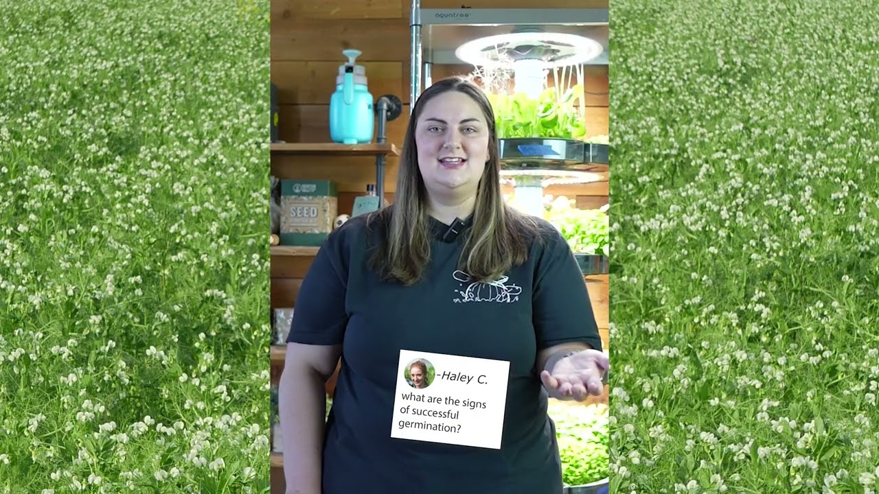 Признаки успешного прорастания