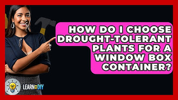 How Do I Choose Drought-tolerant Plants For A Window Box Container? - LearnToDIY360.com