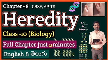 Heredity Class 10 One Shot Revision | Biology | Science