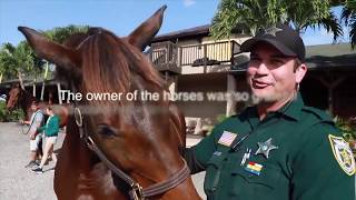 PBSO Behind the Star for December 2018