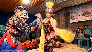 Jangkrik Genggong Andin | EKO PRASTIYO Gentan Kalikajar