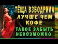 ТЕЩА ВЗБОДРИЛА ЛУЧШЕ, ЧЕМ КОФЕ. ТЕЩА И ЗЯТЬ. Интересные истории из жизни про тёщу, рассказ