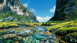 Andean Canyon Stream ASMR - Soft Flowing Water Sounds for Tinnitus Relief & Focus screenshot 3