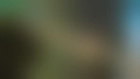 nigga talking in css