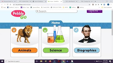 How to Access Library Databases from your OPALS Homepage