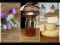 How To Make Rennet For Cheese рџ Ђ From Wild Thistle How To Make Rennet For Cheese рџ Ђ From Wild Thistle