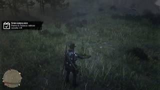 Piante di Tabacco indiano raccolte - Sfida Giornaliera Red Dead Online screenshot 3