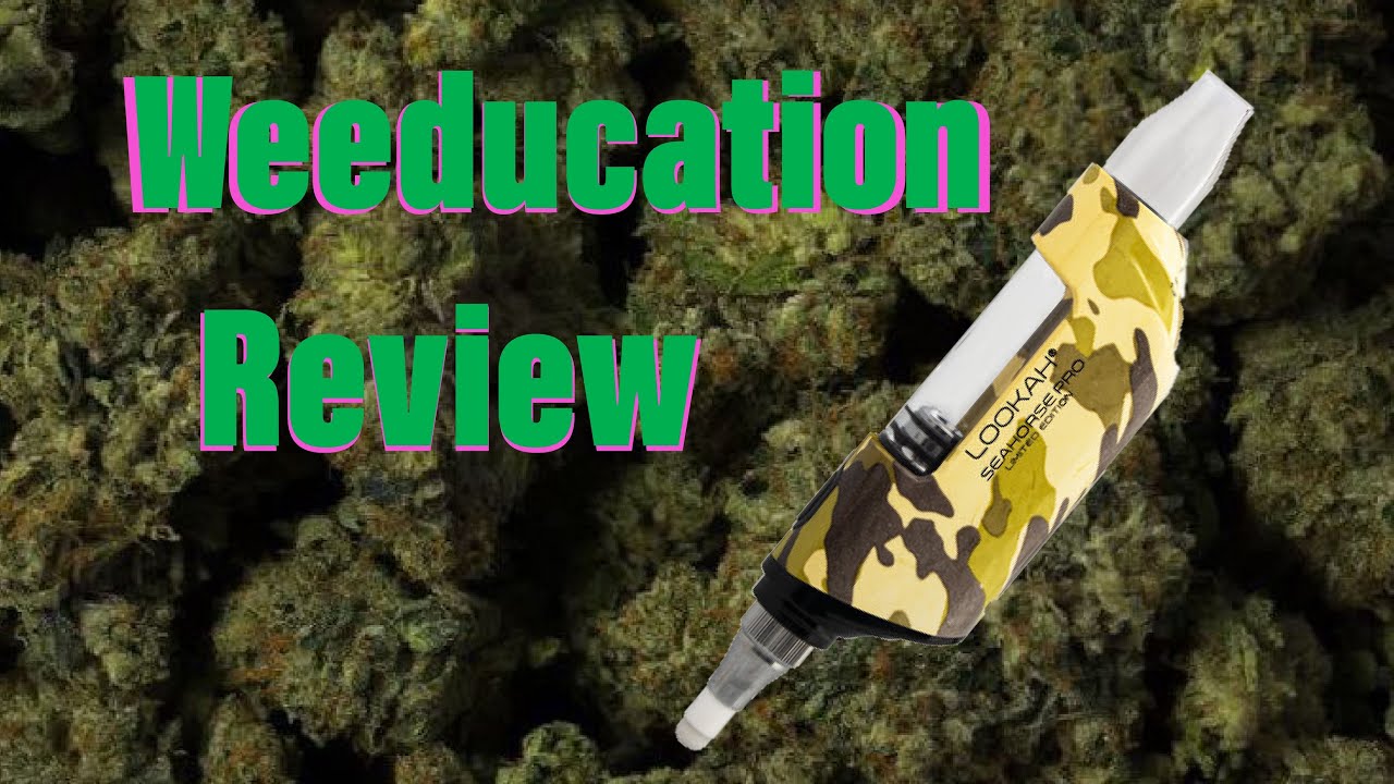 Lookah Seahorse Pro Review