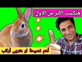 أهم نصيحه لو بتربى أرانب ضاعف المكسب أمراض الأرانب