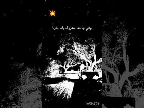 قصيدة بدوية ذم جاحد المعروف يامابذلنا الطيب بدون موسيقى أداء أبي همام فهد ابن محمد مثنى شبيل