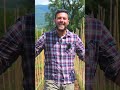 essicatoio artigianale per #aglio e #cipolle dopo la raccolta nell'#orto  #mattthefarmer
