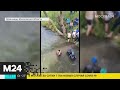 В Подмосковье во время соревнований утонул спортсмен - Москва 24