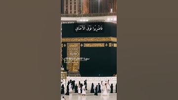سورة الانفال الاية 12-13