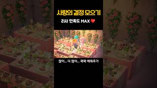 사랑의 결정 폭탄 수급법! 이 방법 모르면 손해 😮 사랑의 결정 노가다 공략 #모동숲 #모동숲