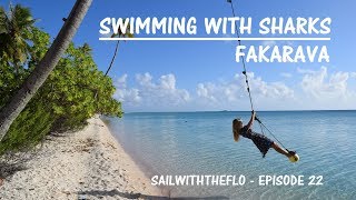 Swimming with Sharks  Fakarava – Sailing the Pacific Episode 22