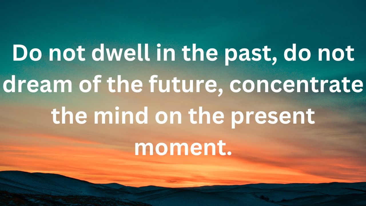 Do not dwell in the past, do not dream of the future, concentrate the ...