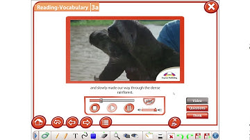 Excel 7Module3 An Unforgettable Experience