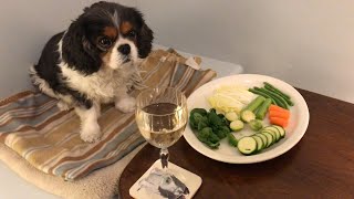 Dog's reaction to vegetables by Isabelle The Cavalier 5,769 views 1 year ago 8 minutes