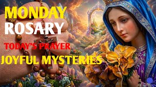 Holy Rosary | Monday Rosary | Joyful Mysteries | August 17, 2026 Virtual Rosary, #rosary 