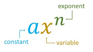 What is a Polynomial